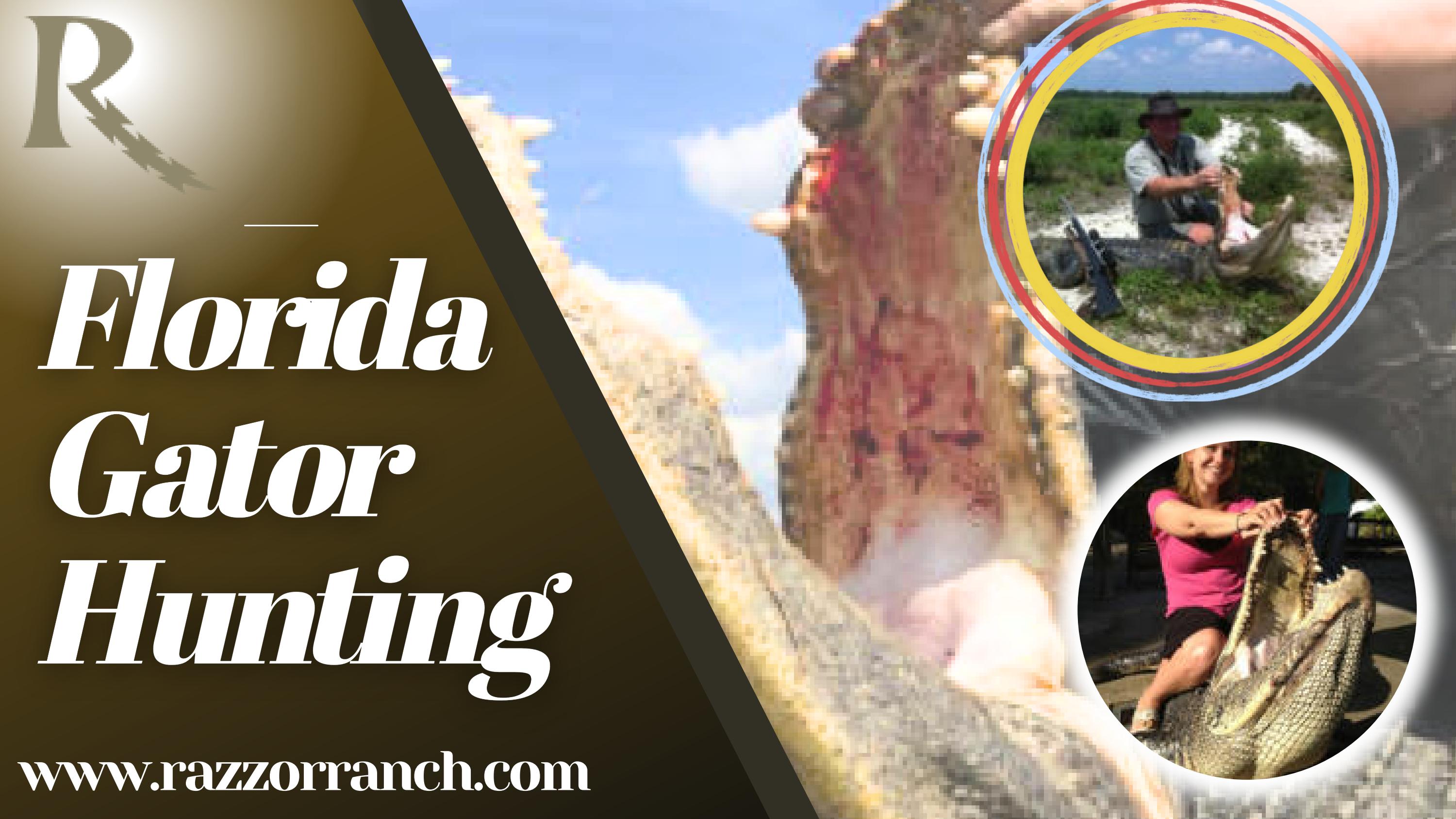 Enjoy the Most Memorable Florida Gator Hunting Trip with Razzor Ranch