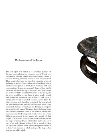Paestum Red-Figure Bell Krater 第 24 页