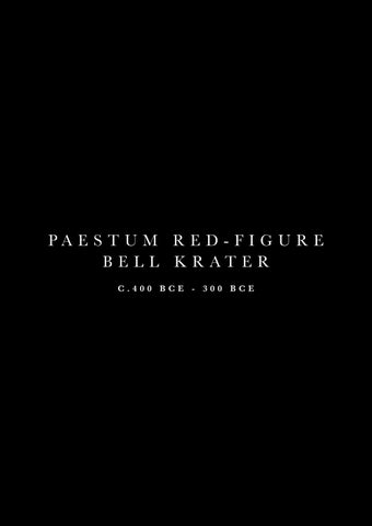 Paestum Red-Figure Bell Krater 第 5 页