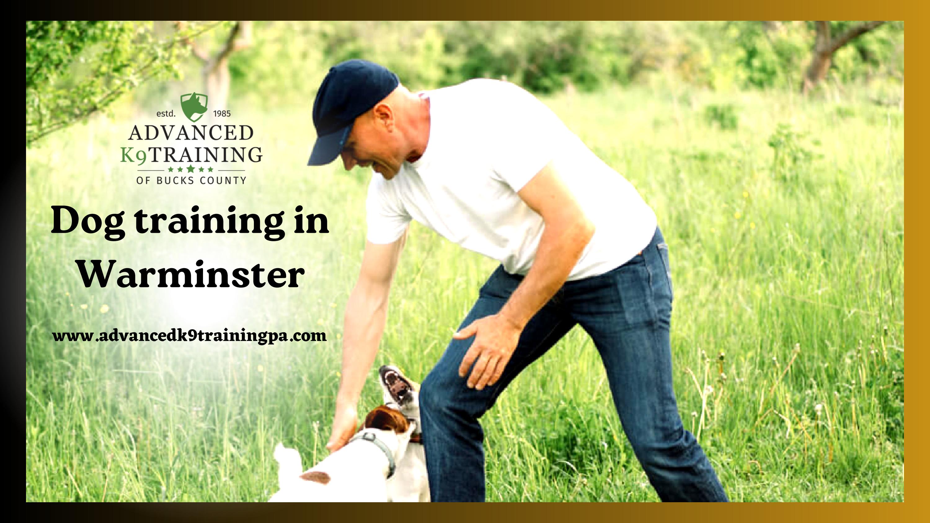 Best Dog Training in Warminster Advanced K9 Training by