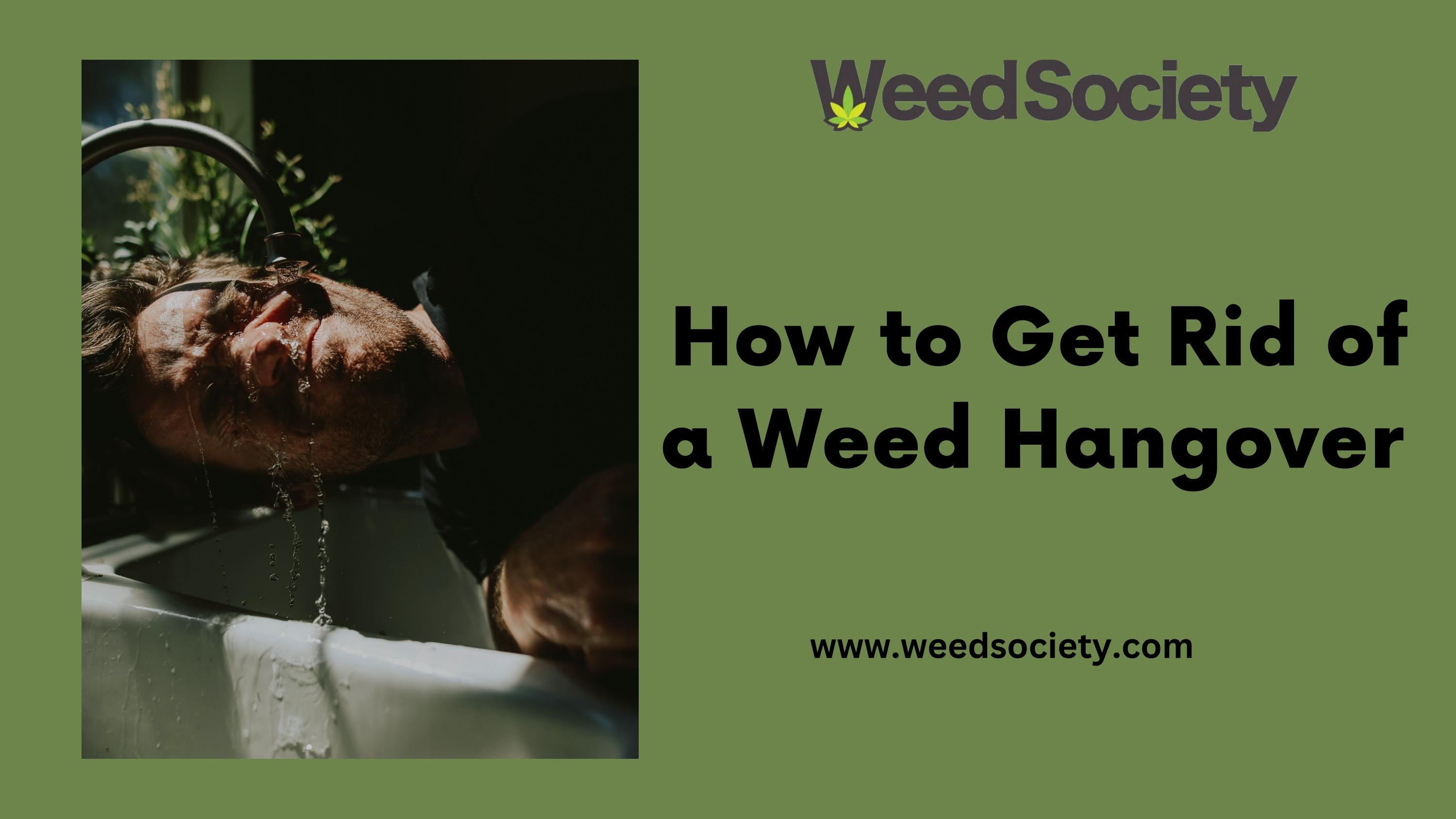 How to Get Rid of a Weed Hangover ? by WeedSociety Issuu