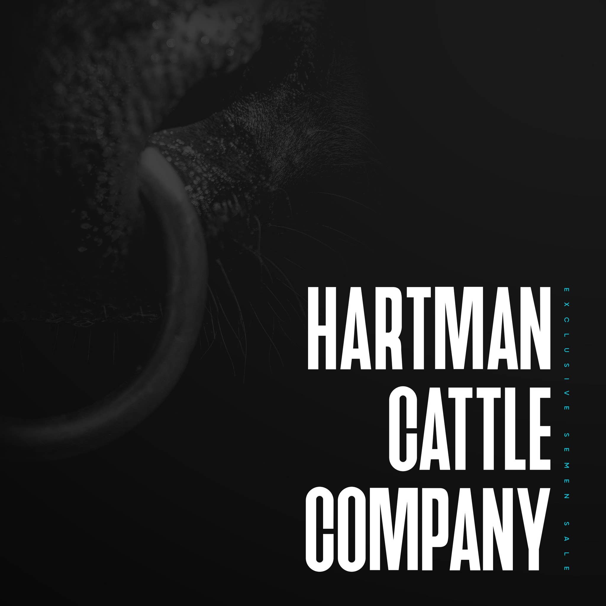 Hartman Cattle Company Exclusive Semen Sale by GAZDA Issuu
