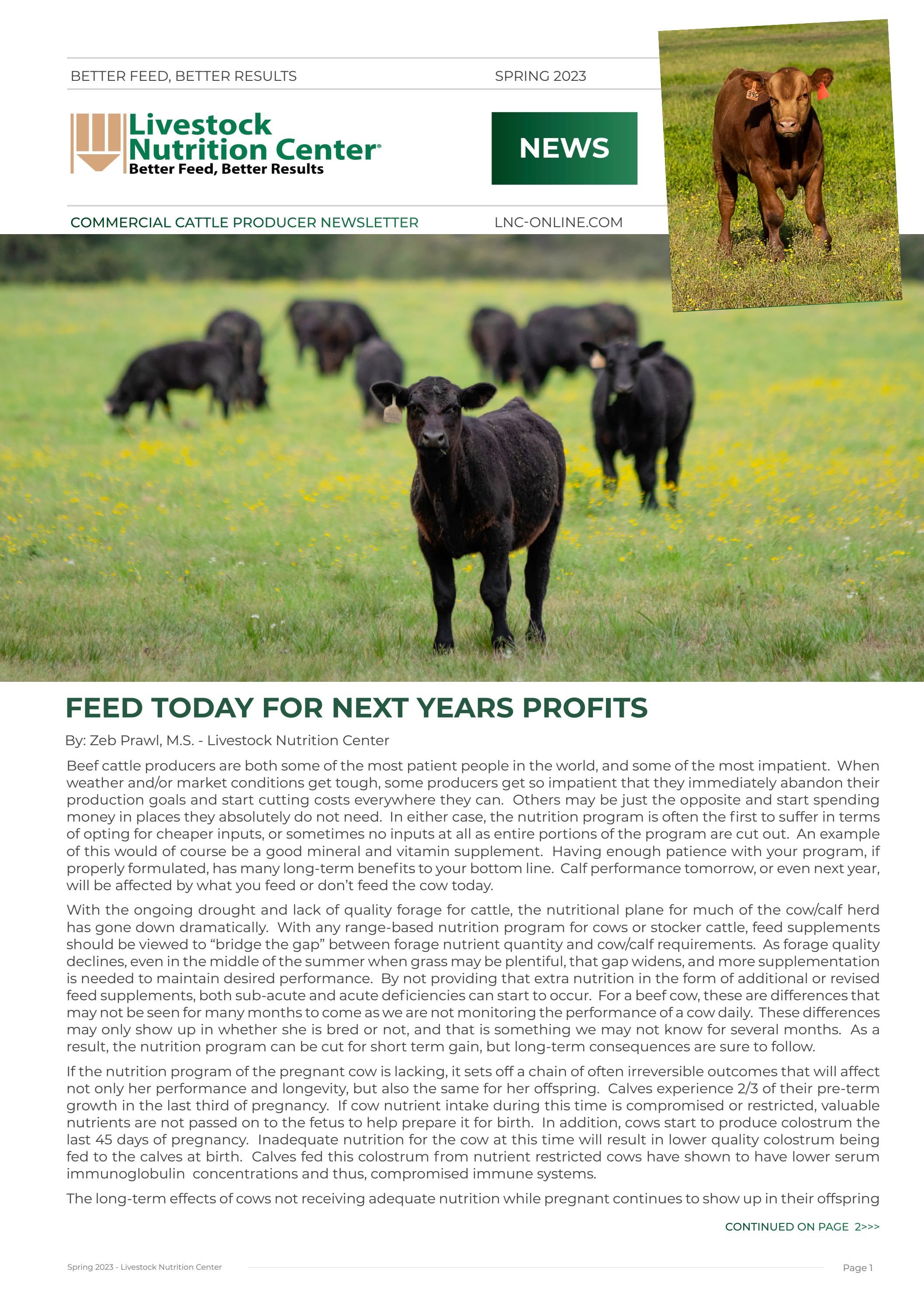 Commercial Cattle Producer Newsletter Spring 2023 by