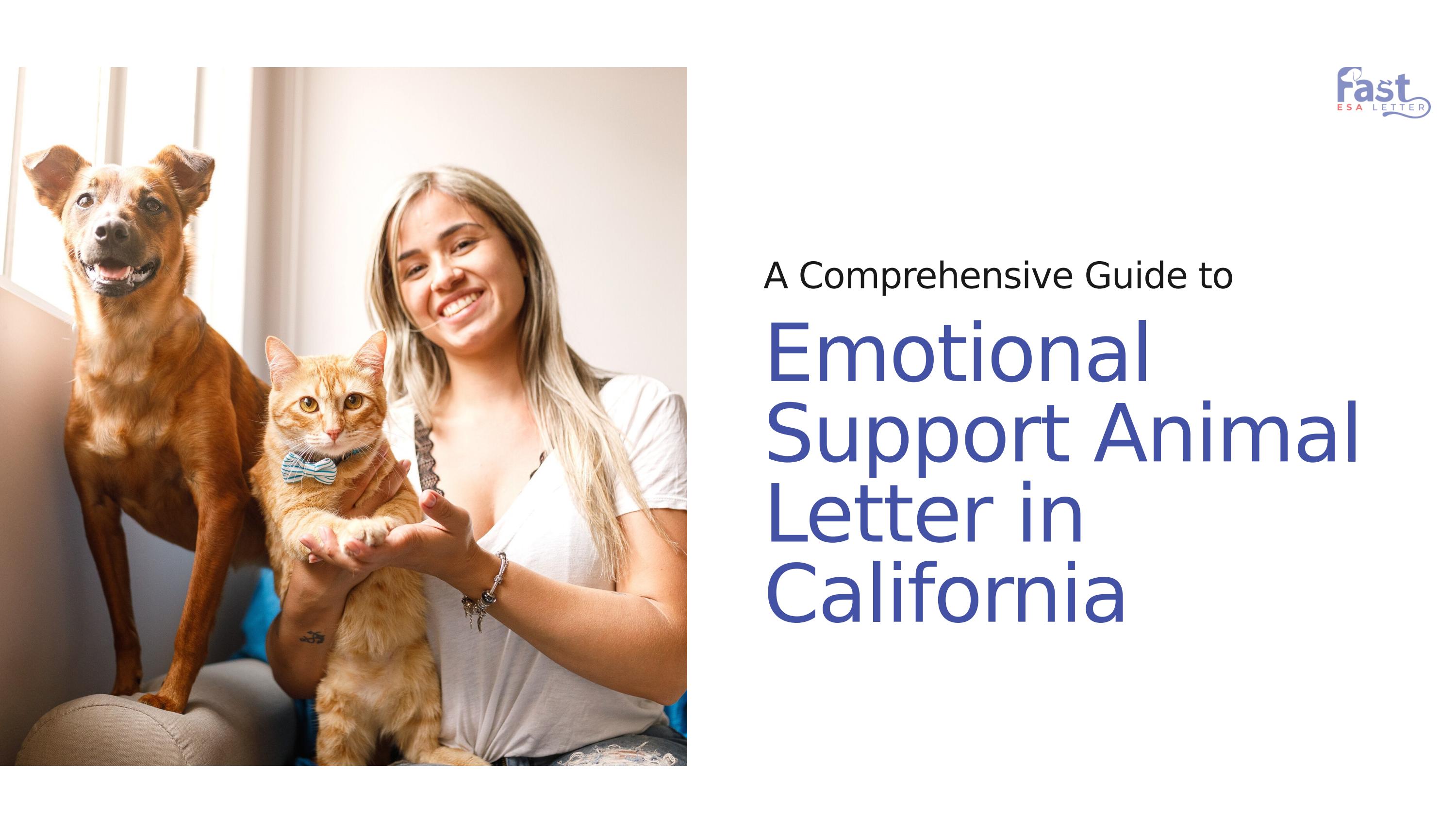 A Comprehensive Guide to Emotional Support Animal Letter in California