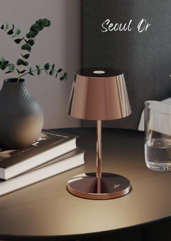 Lampes nomades 第 6 页