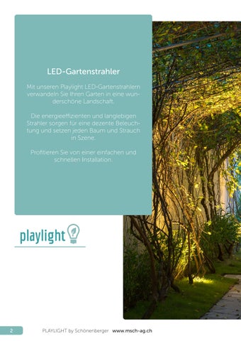 Playlight 2023/2024 第 2 页