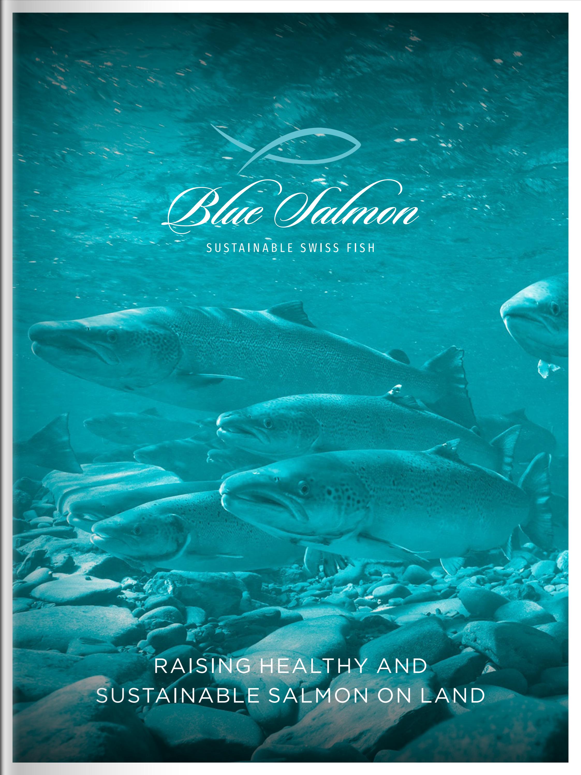 Swiss Blue Salmon by Outlook Publishing - Issuu
