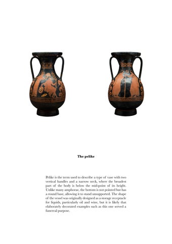 Apulian Red-Figure Pelike 第 14 页