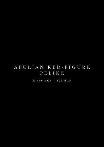Apulian Red-Figure Pelike 第 5 页