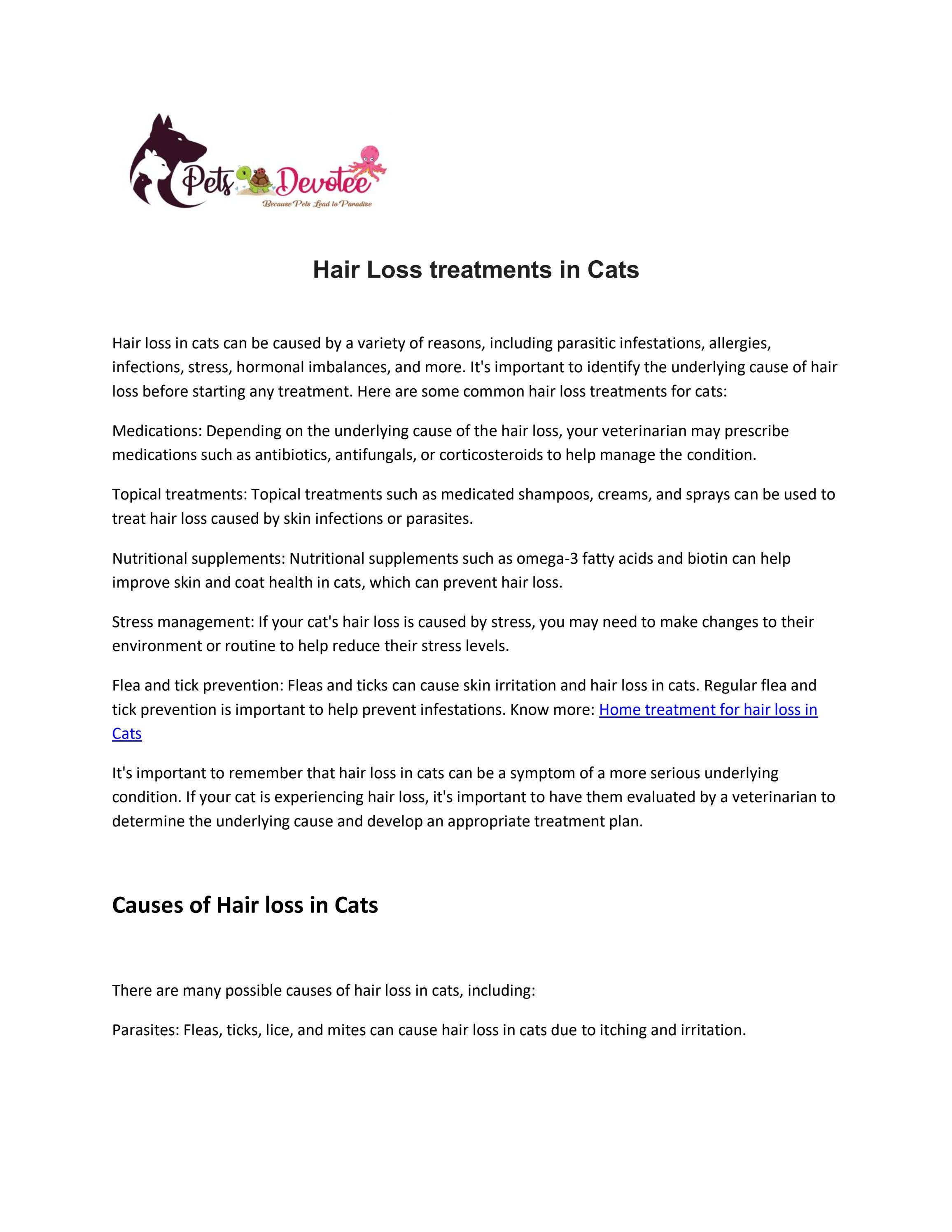 Hair Loss treatments in Cats by petsdevotee Issuu