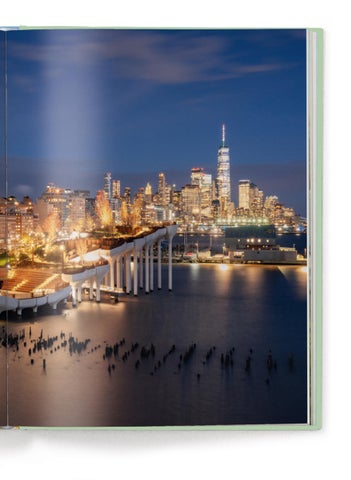 ACC Art Books 灯饰目录 · Urban Oasis 第 11 页