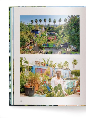 ACC Art Books 灯饰目录 · Urban Oasis 第 12 页