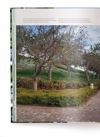 ACC Art Books 灯饰目录 · Urban Oasis 第 14 页