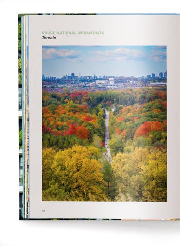 ACC Art Books 灯饰目录 · Urban Oasis 第 8 页