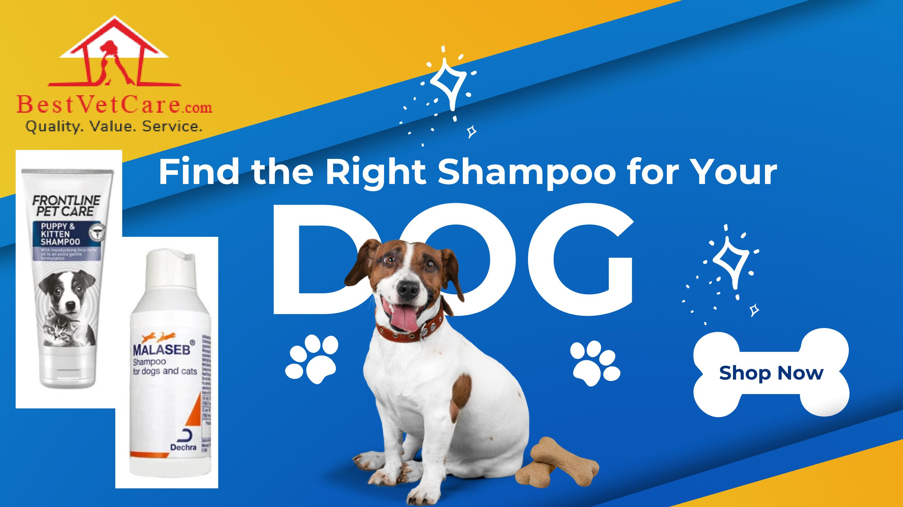 Find the Right Shampoo for Your Dog by BestVetCareus Issuu