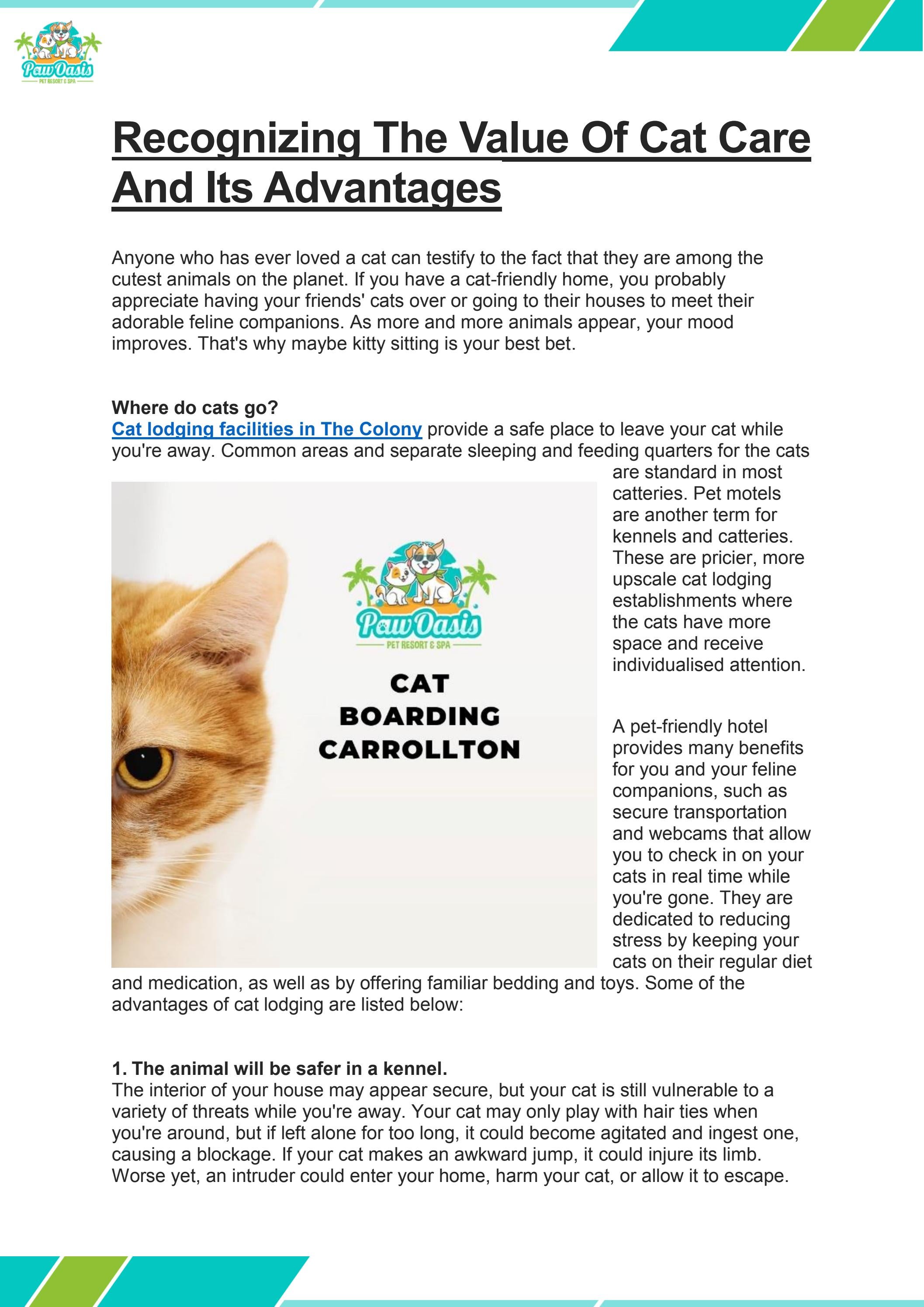 Recognizing The Value Of Cat Care And Its Advantages by Paqwo Pet Issuu