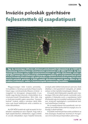 Page 29
