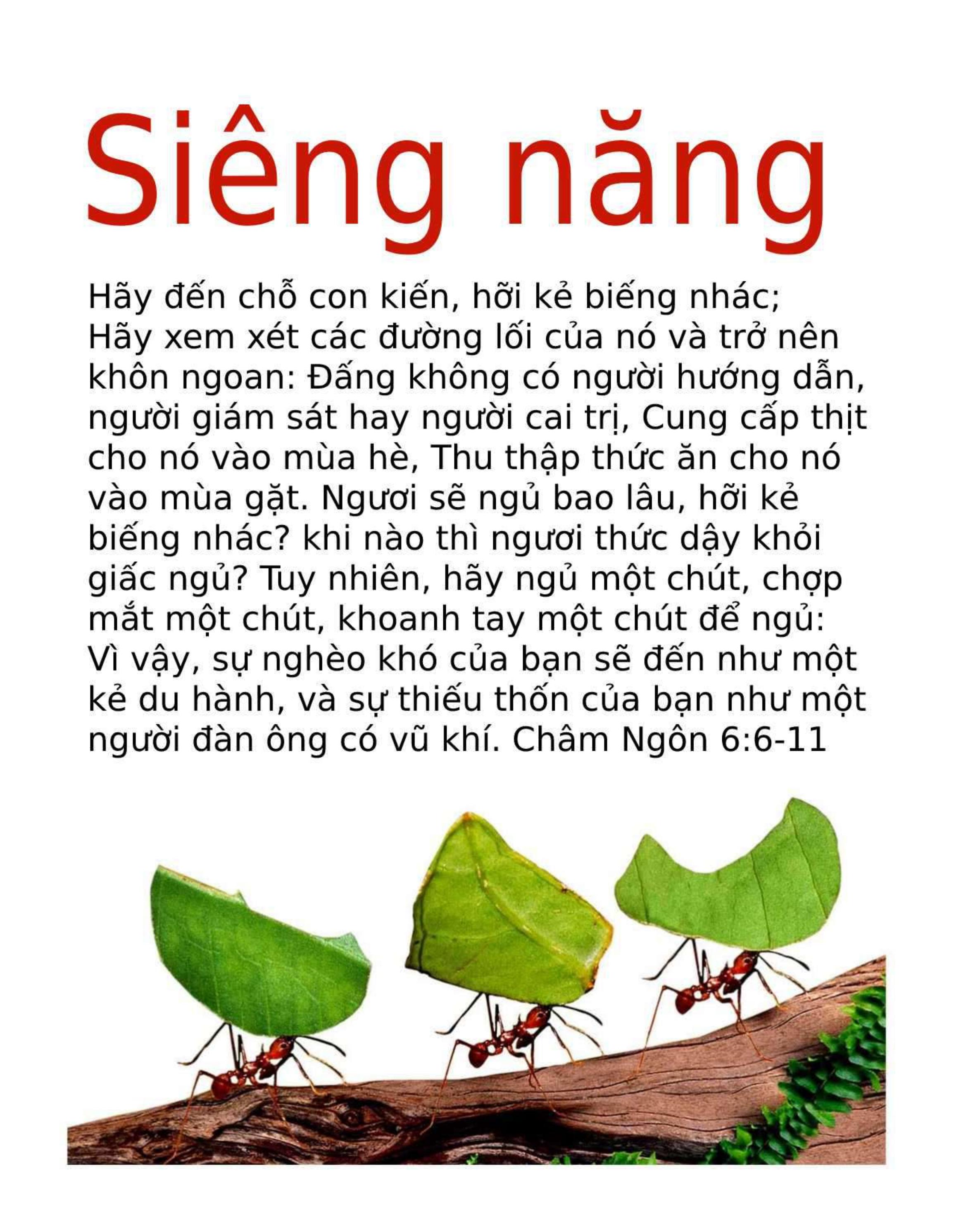 Vietnamese Motivational Diligence Tract by Filipino Tracts and