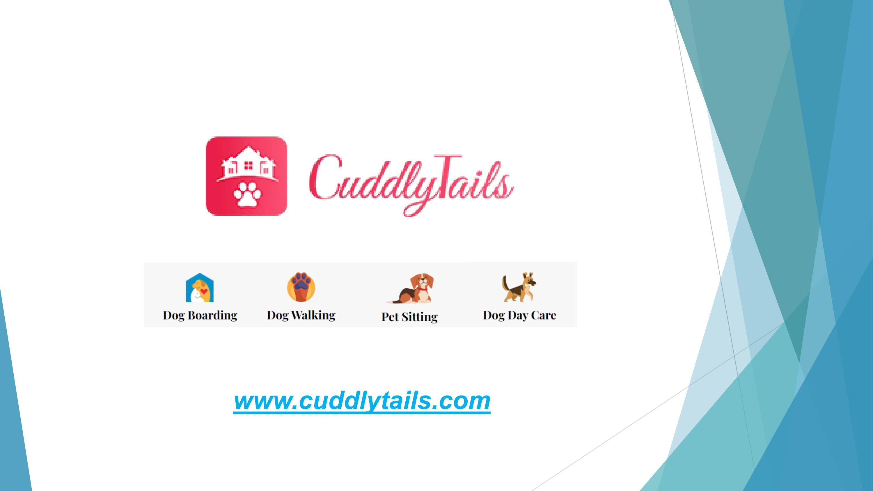 Get the Best Dog Sitters in Hollywood, FL CuddlyTails by Cuddly Tails
