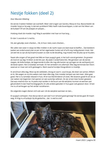 Page 30