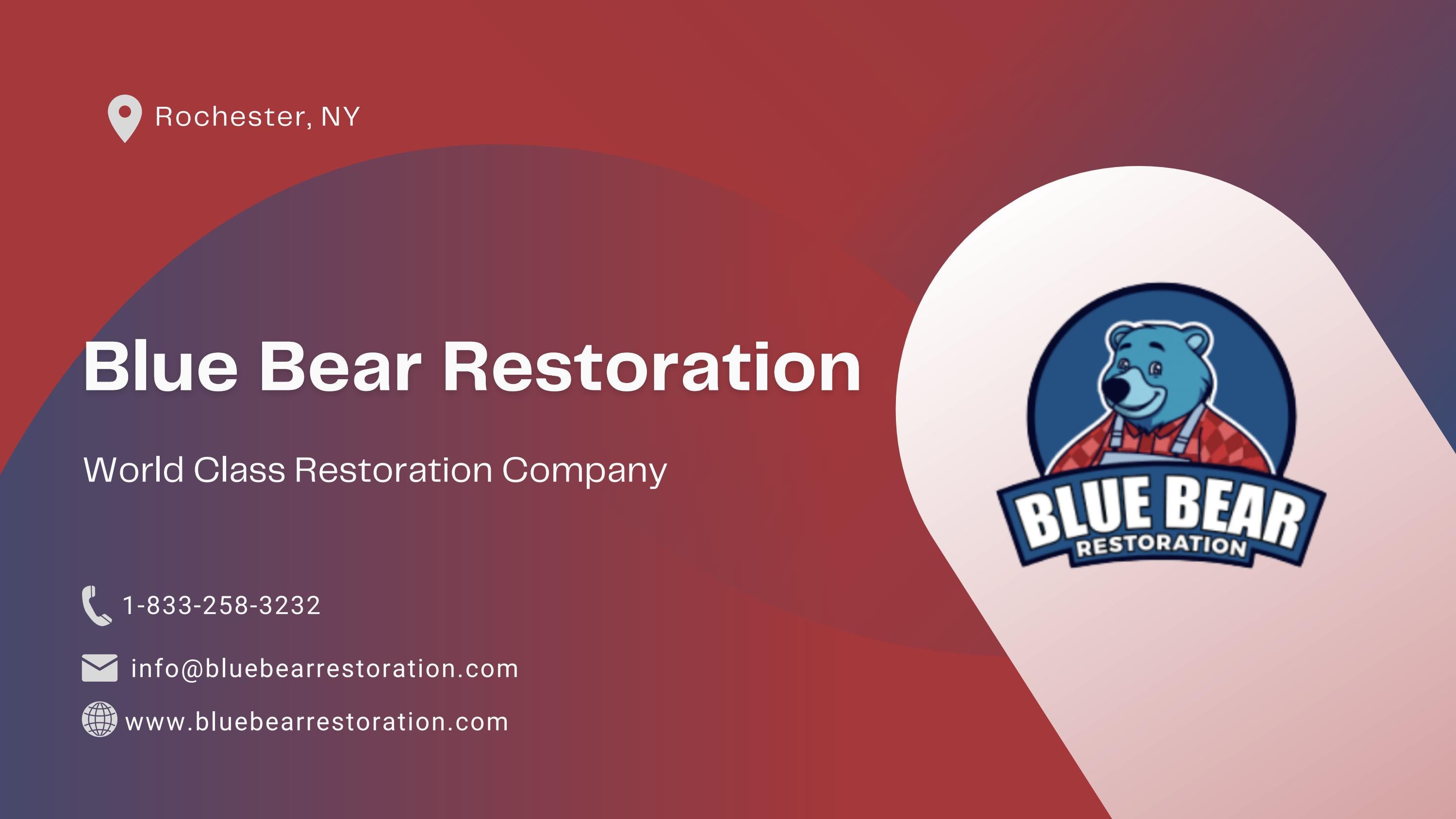 Fire & Water Damage Restoration Company Blue Bear Restoration by Blue