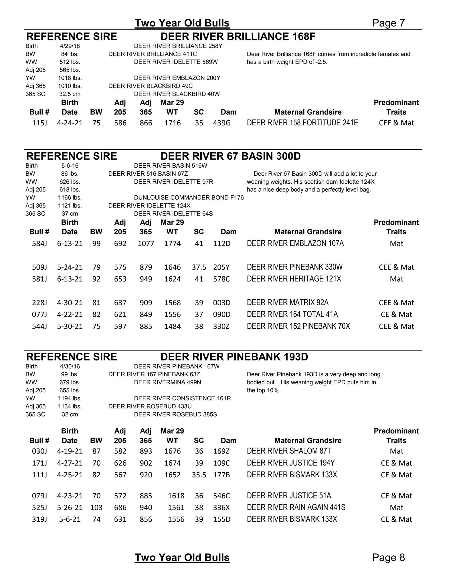 Deer River Ranching Black Angus Bull Sale - Brooks, AB by DLMS ...