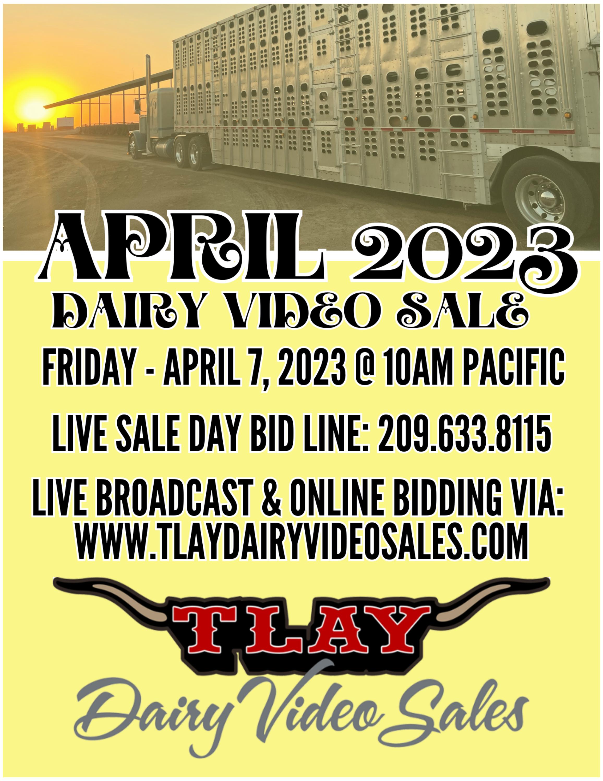 APRIL 2023 DVS CATALOG by TURLOCK LIVESTOCK AUCTION YARD - Issuu
