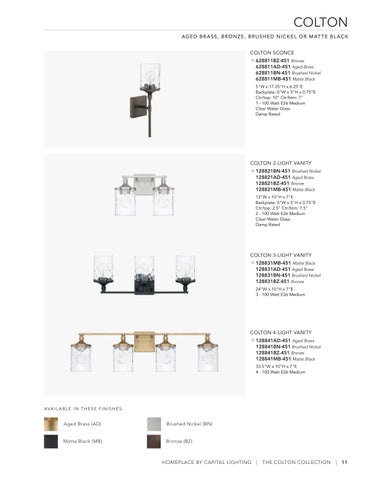 capitallighting Homeplace 灯饰目录 2023 第 11 页