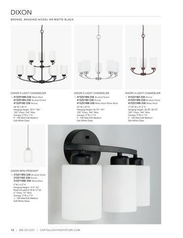 capitallighting Homeplace 灯饰目录 2023 第 12 页