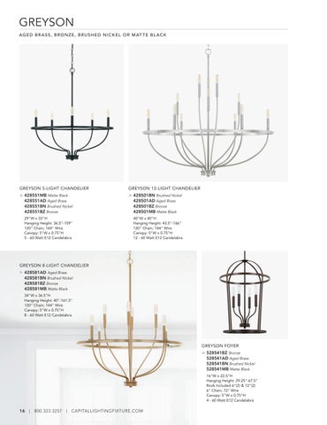 capitallighting Homeplace 灯饰目录 2023 第 16 页