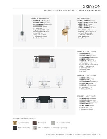 capitallighting Homeplace 灯饰目录 2023 第 17 页