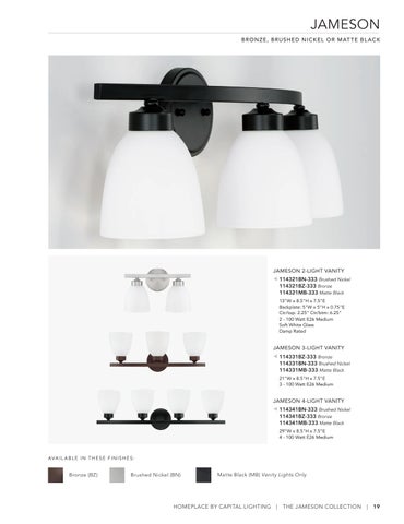 capitallighting Homeplace 灯饰目录 2023 第 19 页
