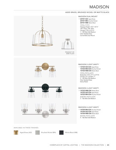 capitallighting Homeplace 灯饰目录 2023 第 23 页