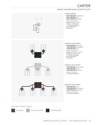 capitallighting Homeplace 灯饰目录 2023 第 9 页