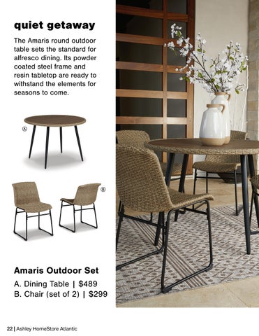 WorldWide Furniture 家具目录 · Ashley 户外 2023 第 22 页