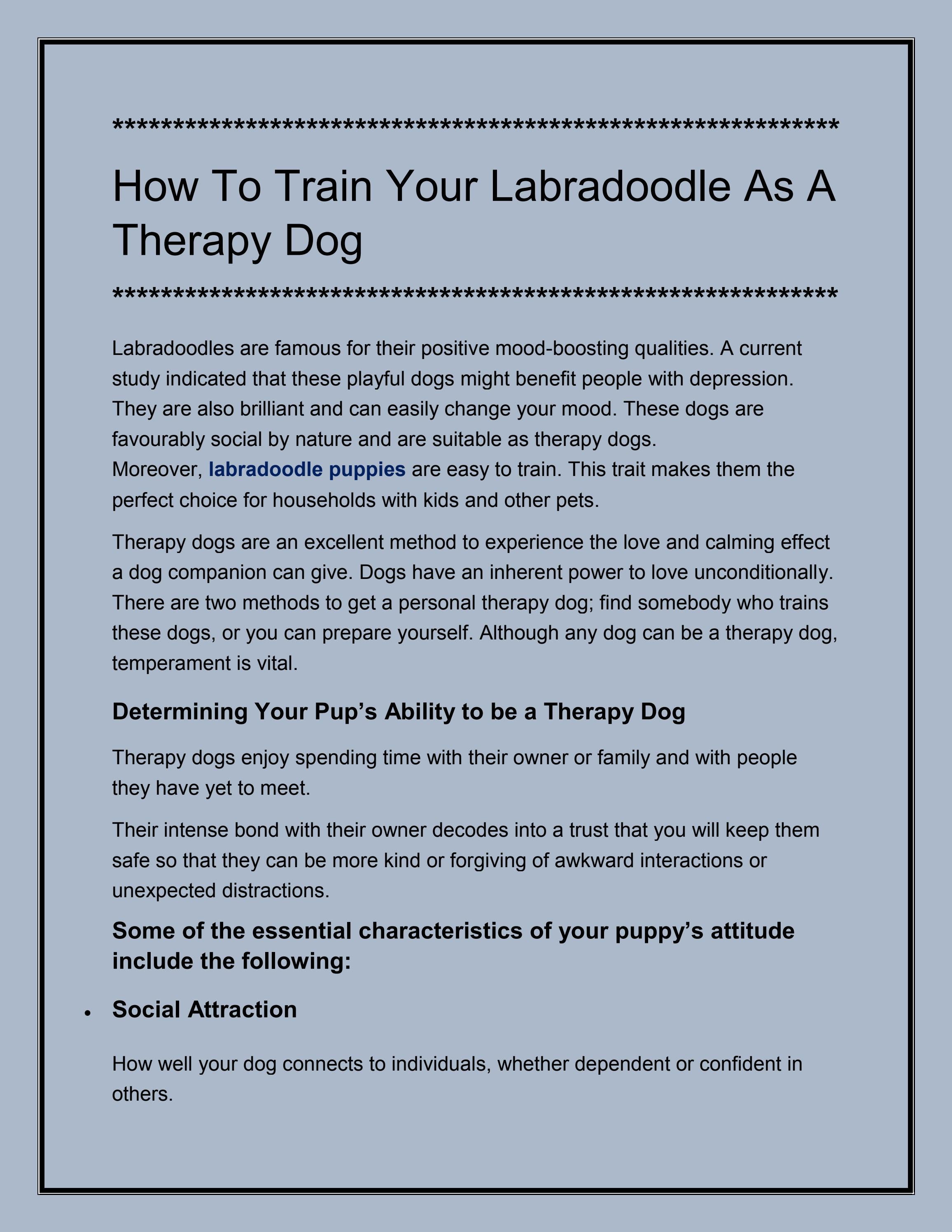How To Train Your Labradoodle As A Therapy Dog by Hidden Springs