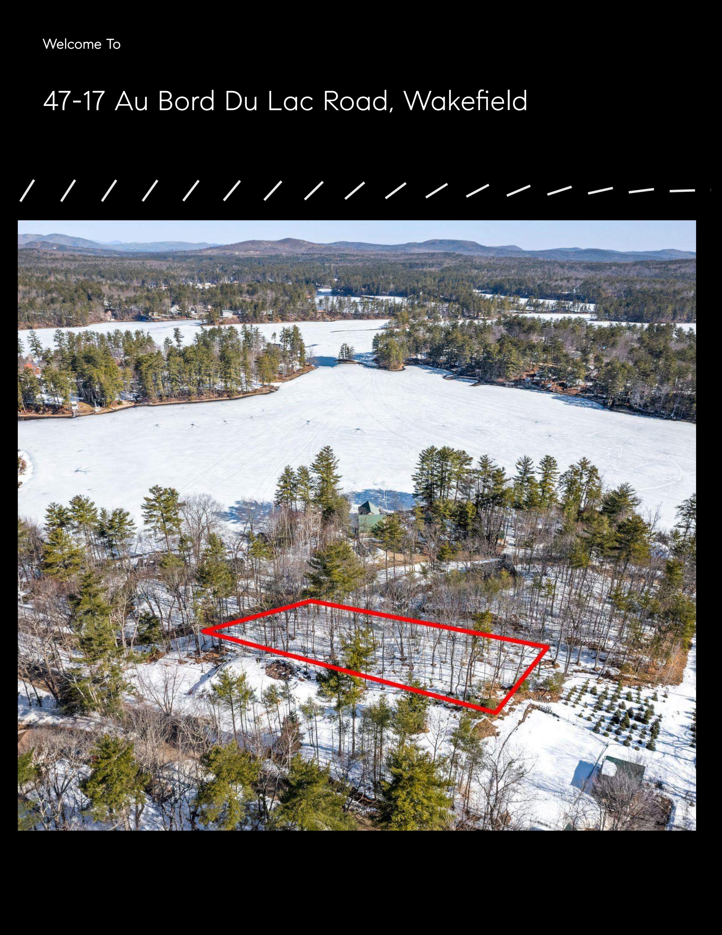 47 & 17 Au Bord Du Lac Road Wakefield, NH by LAKE LIFE REALTY Brie