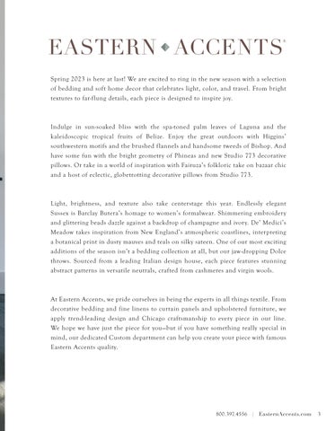 Eastern Accents 春季 2023 New Introductions 家具手册 第 3 页