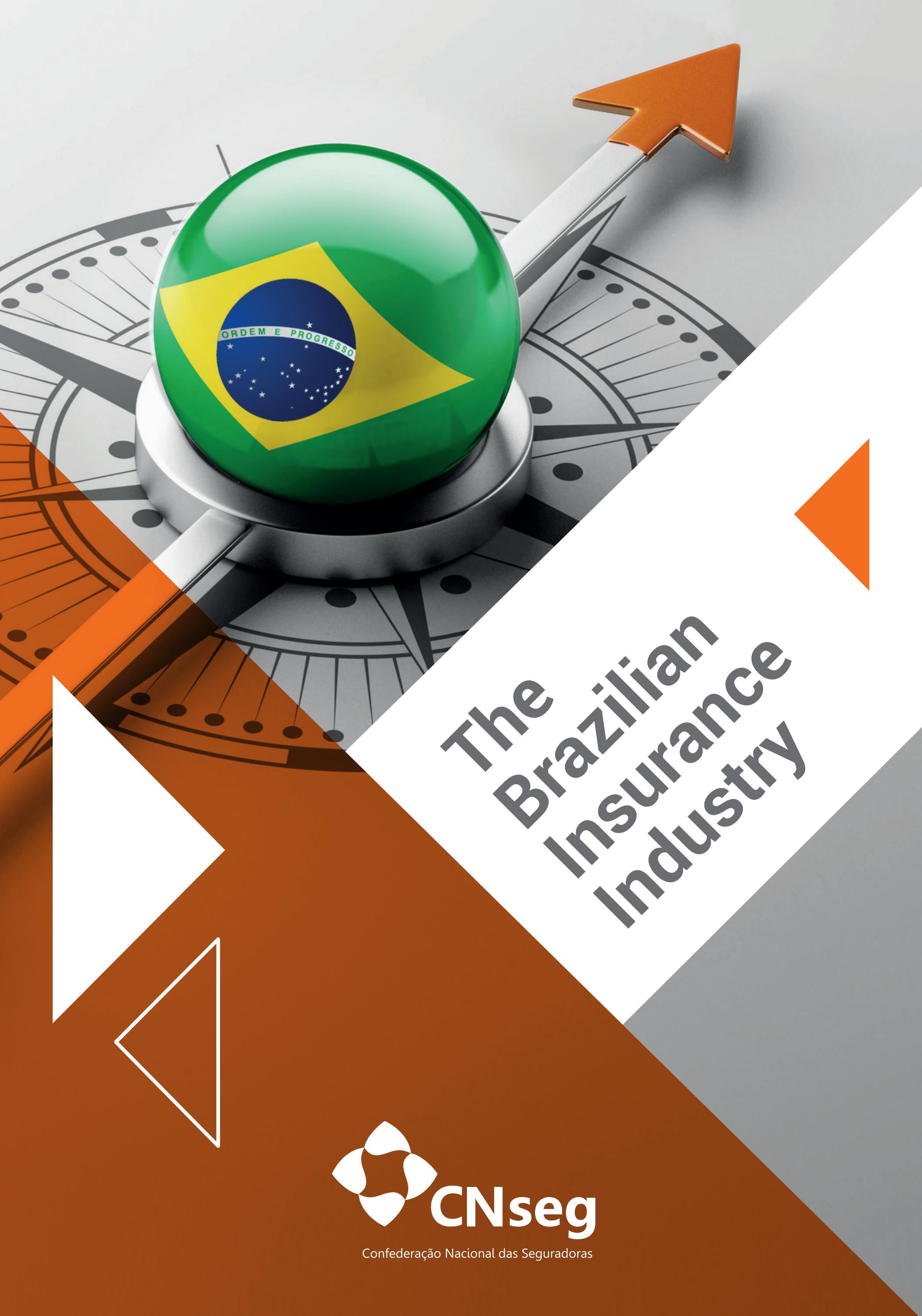 The Brazilian Insurance Industry by CNseg Issuu