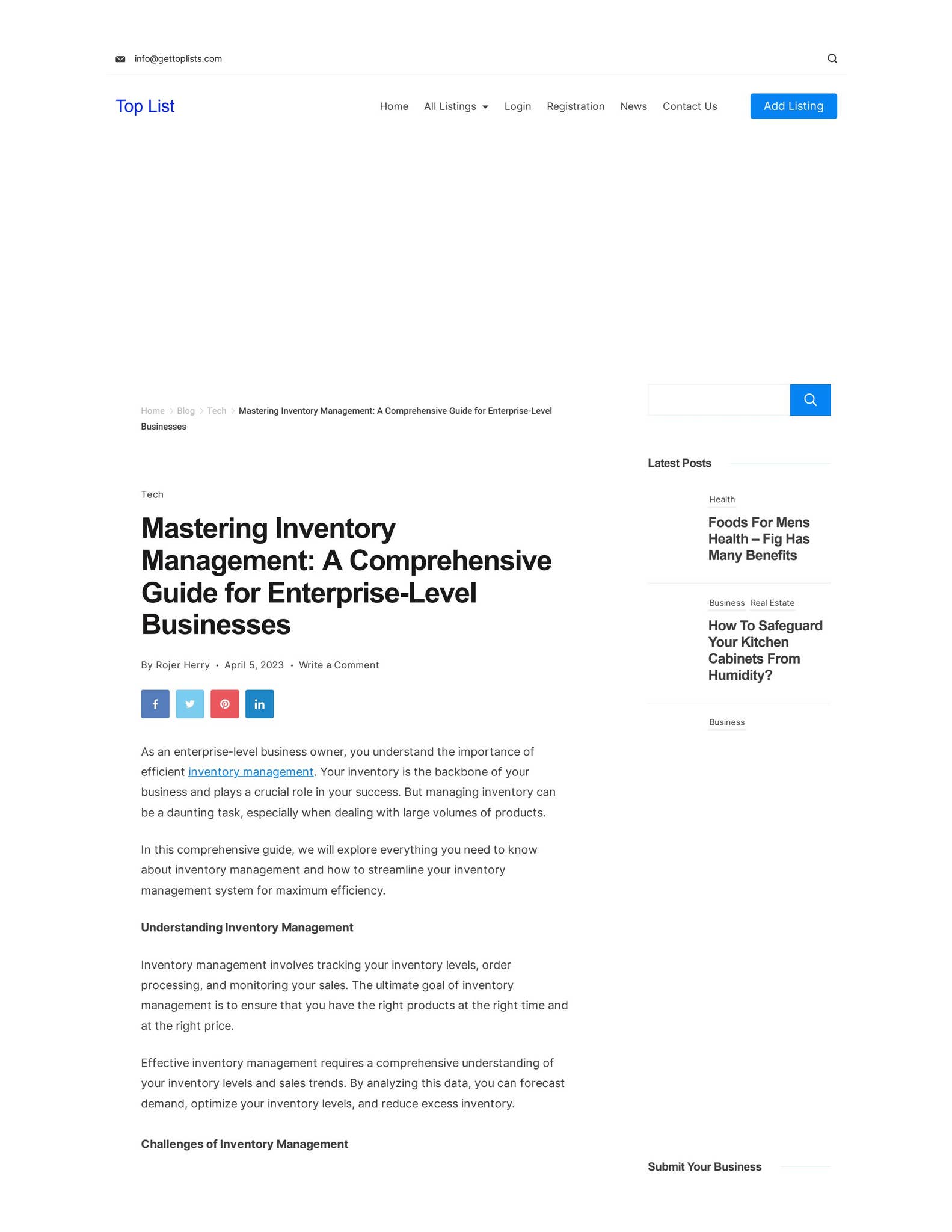 Mastering Inventory Management: A Comprehensive Guide for Enterprise ...