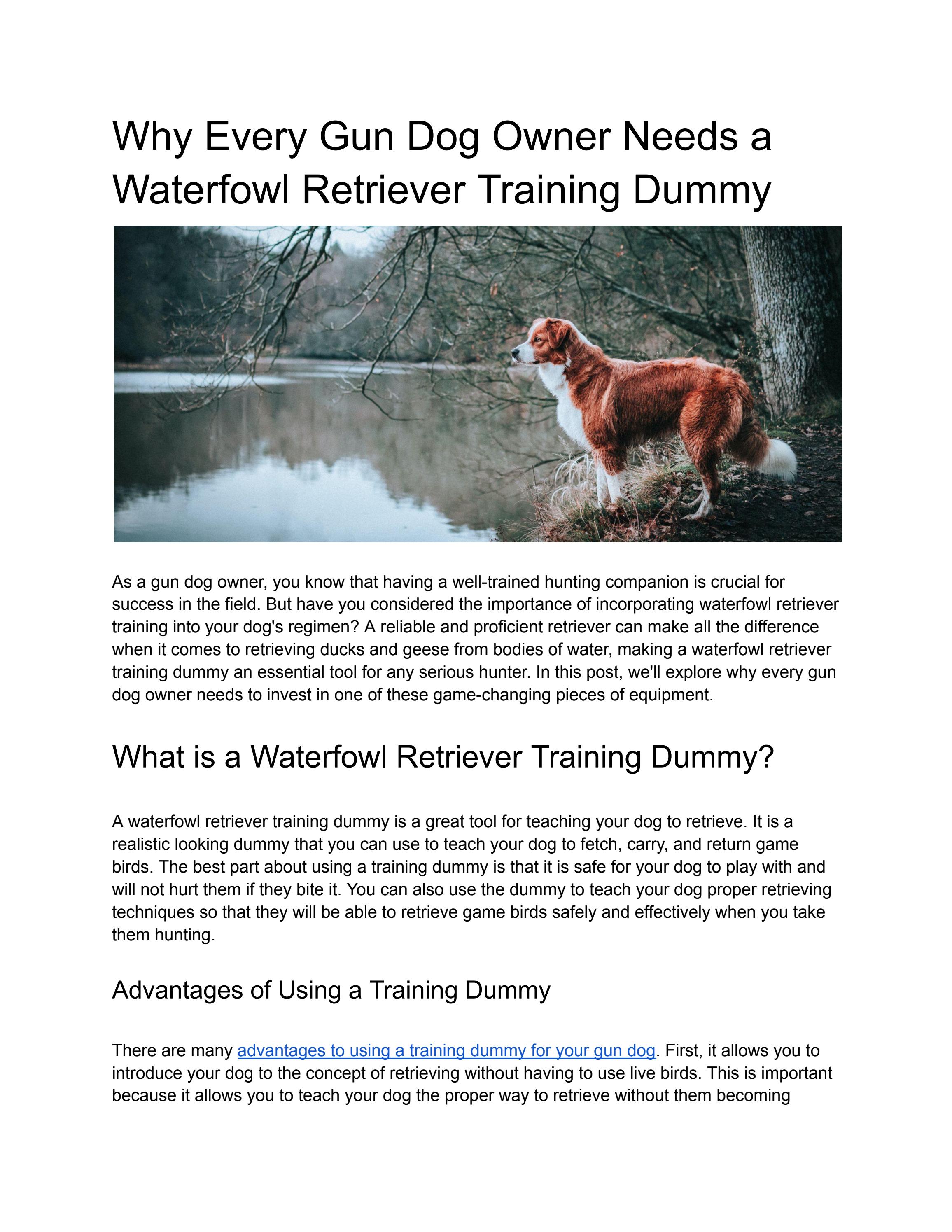 Why Every Gun Dog Owner Needs a Waterfowl Retriever Training Dummy by