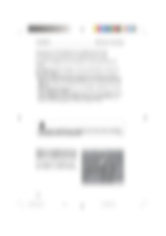 Page 334