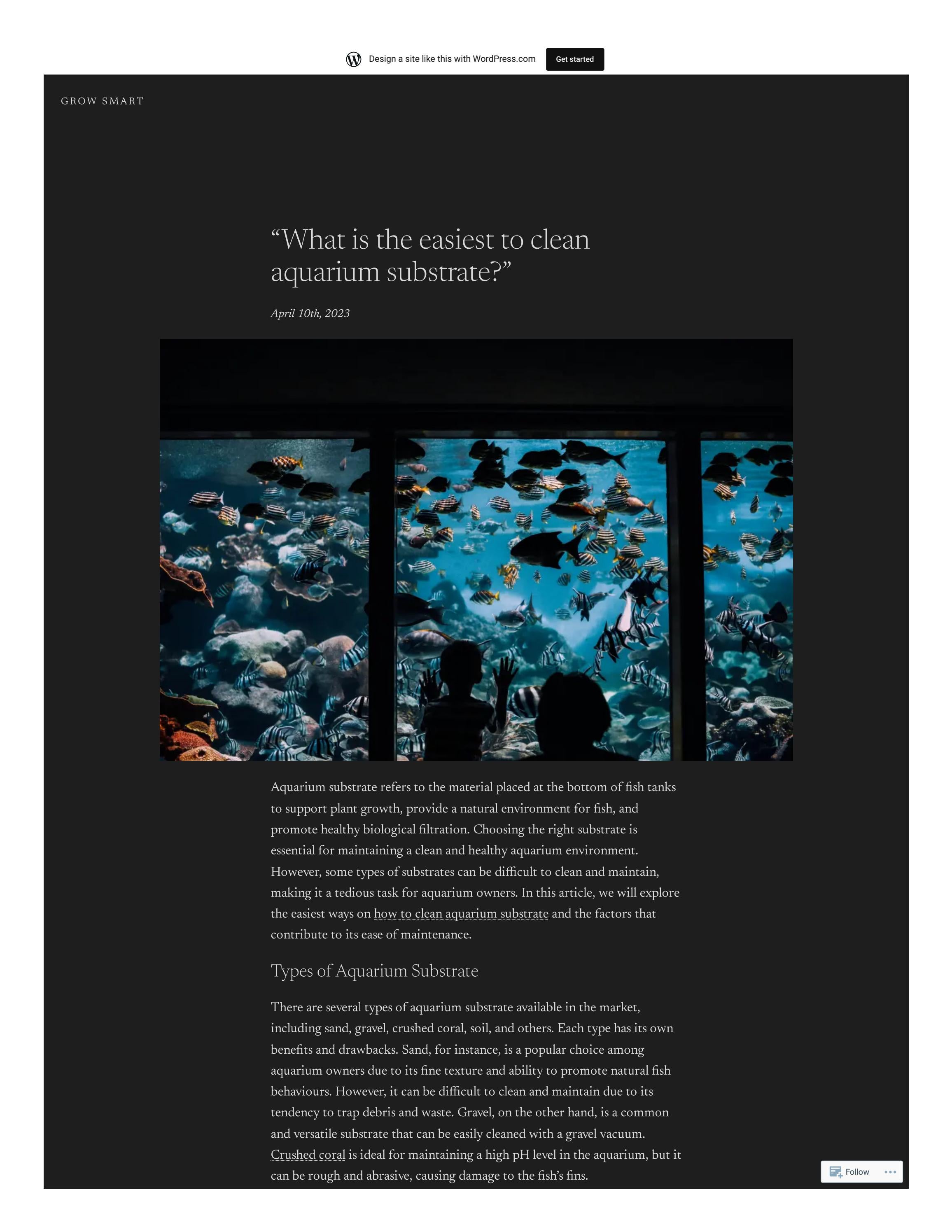 What is the easiest to clean aquarium substrate?" by carolyn renner Issuu