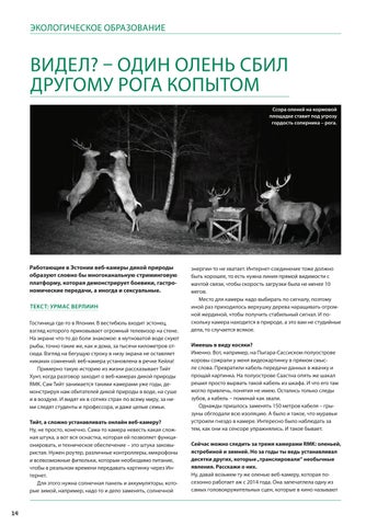 ЛЕСНЫЕ ПРЕМУДРОСТИ (весна 2023) 第 14 页