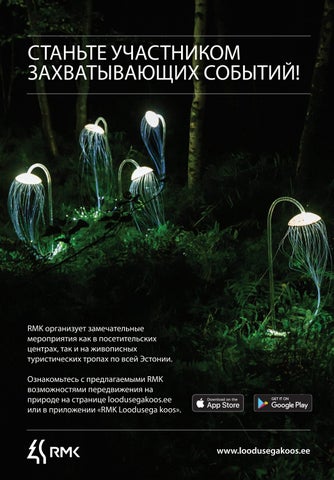 ЛЕСНЫЕ ПРЕМУДРОСТИ (весна 2023) 第 24 页