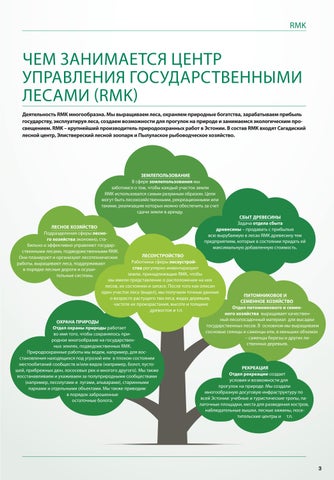 ЛЕСНЫЕ ПРЕМУДРОСТИ (весна 2023) 第 3 页