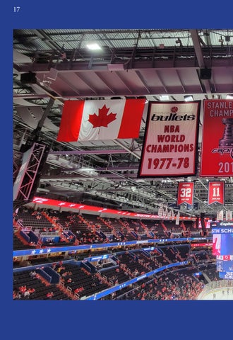 Ted Leonsis 第 18 页