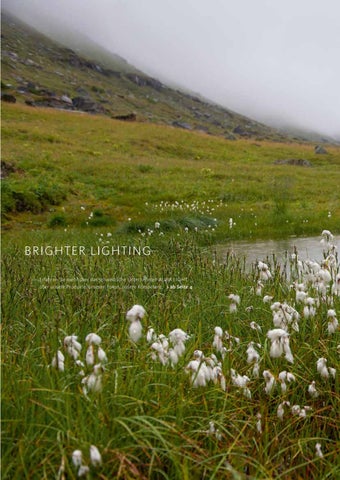 Aura Light 灯饰目录 · Gesamtkatalog Leuchtmittel 第 2 页