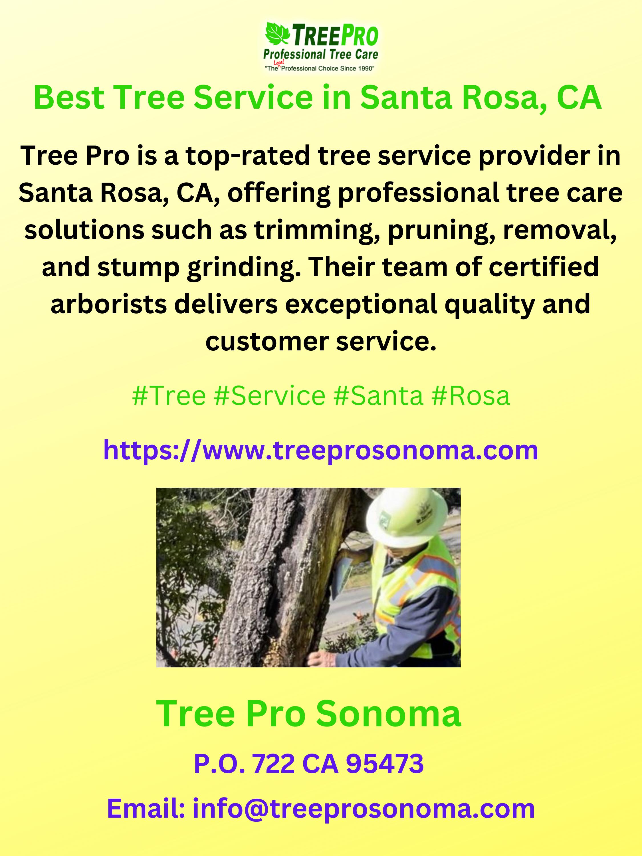 Best Tree Service in Santa Rosa, CA by Treepro Sonoma Issuu