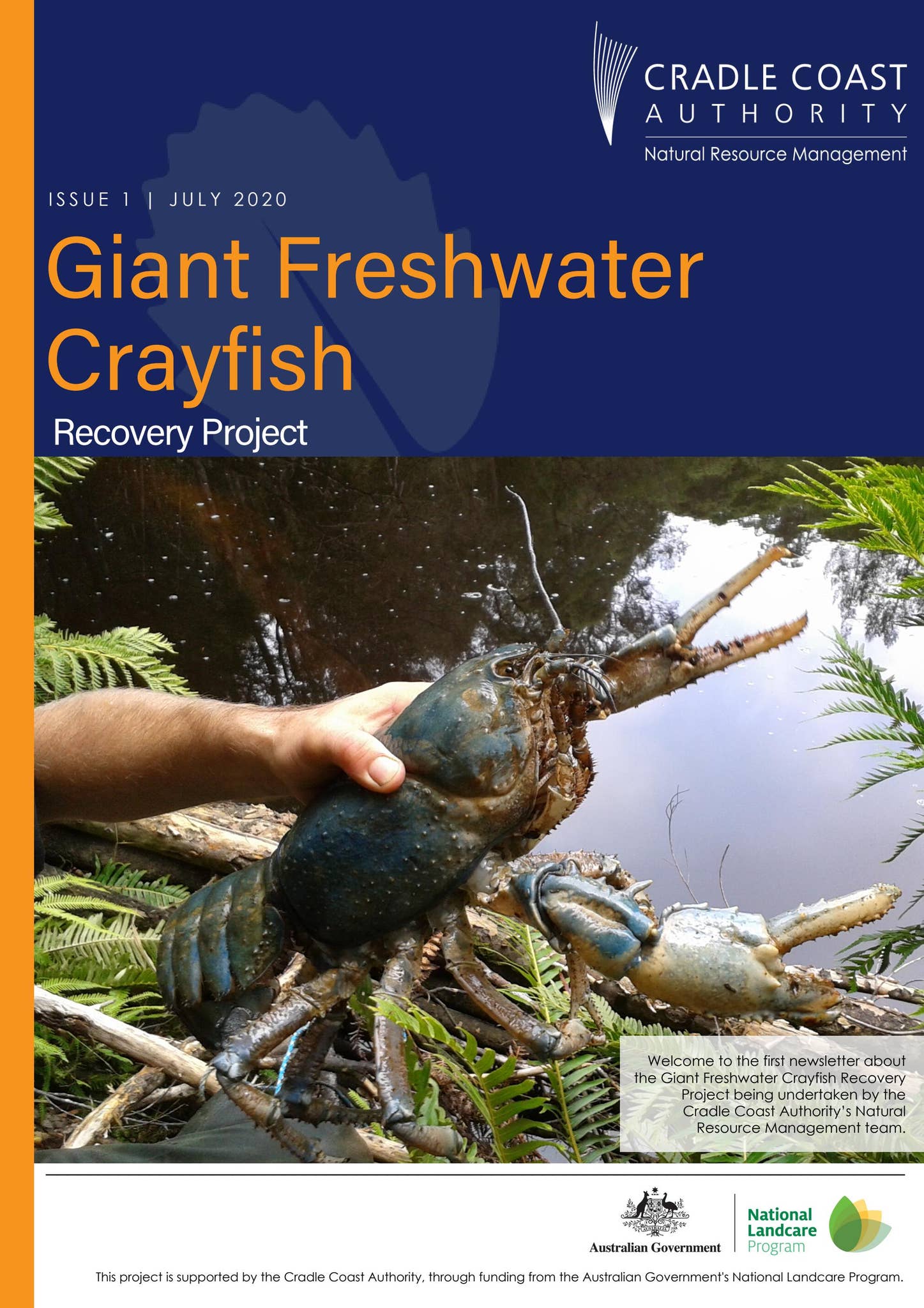 Giant Freshwater Crayfish Recovery Project - newsletter issue 1 July ...